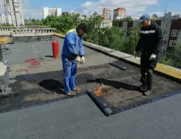 Профилактика и ремонт кровли: Советы по уходу в условиях повышенной влажности